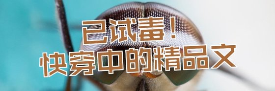 已试毒！快穿中的精品文